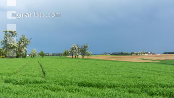 Landschaft Mitte April 1
