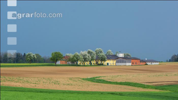 Landschaft Mitte April 2