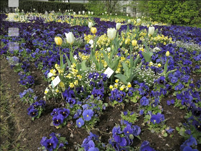 Landesgartenschau Kremmsünster 4