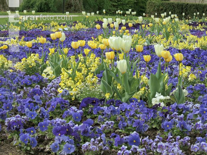 Landesgartenschau Kremmsünster 1