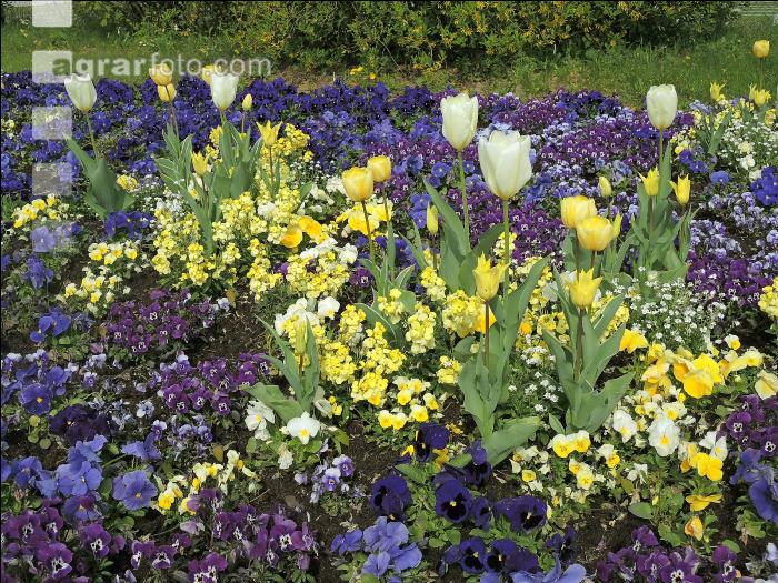 Landesgartenschau Kremmsünster 7
