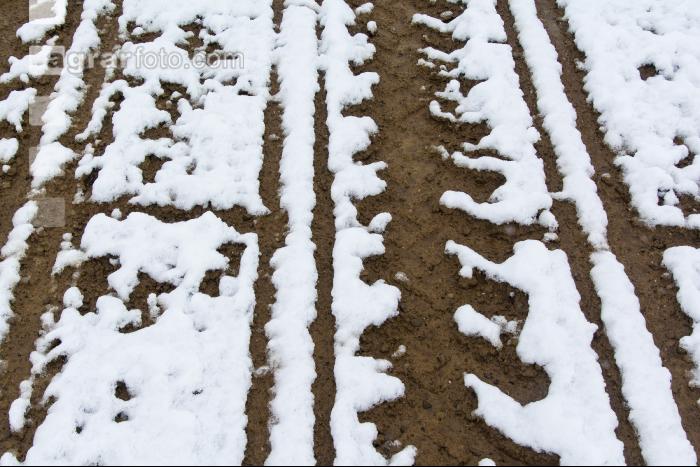 Schnee nach Maissaat 1