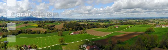 Alpenvorland im Mai 2