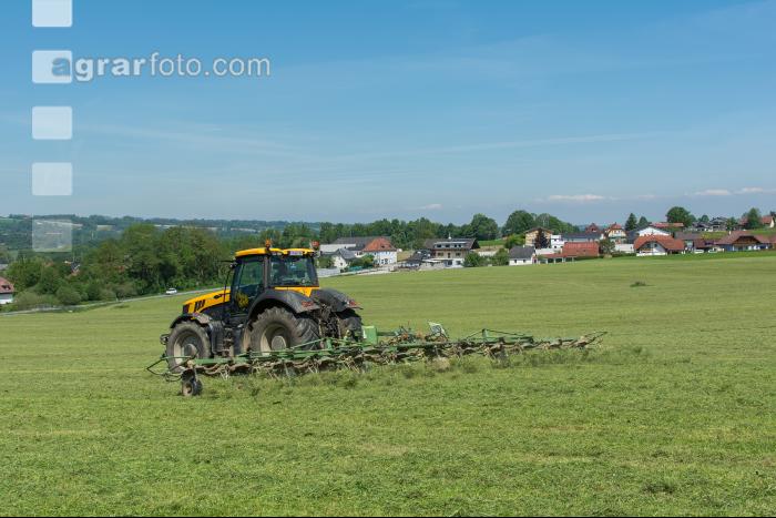 Grünfutter zetten 21