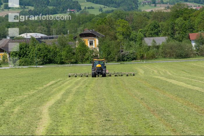 Grünfutter zetten 20