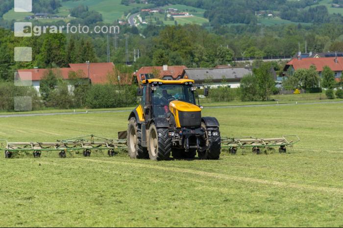Grünfutter zetten 18