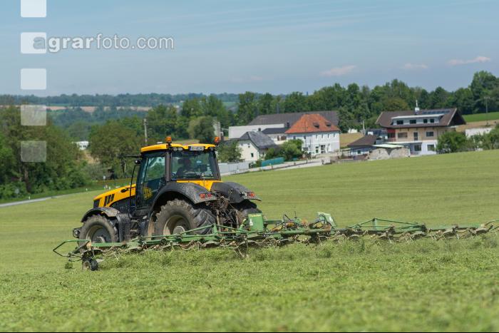 Grünfutter zetten 17