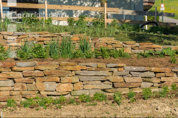 Mulchen im Gemüsegarten 2