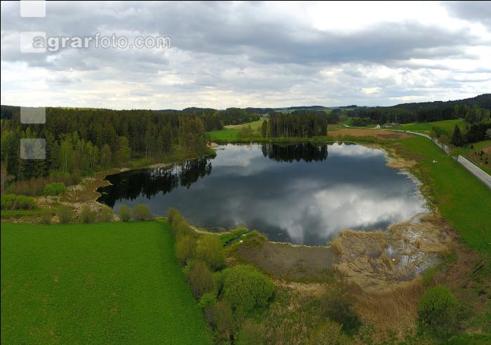 Waldviertel Teich 3