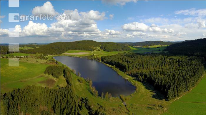 Waldviertel Teich 2