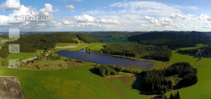 Waldviertel Teich 1