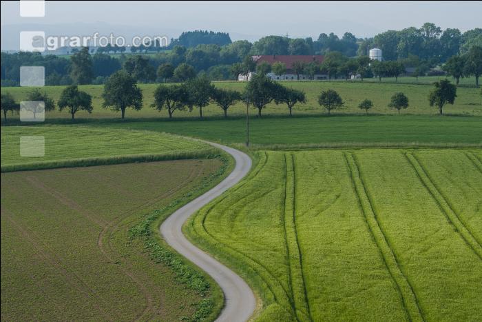 Feldweg 8