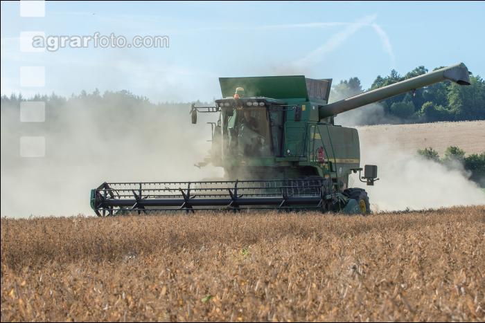 Erbsen Ernte 20