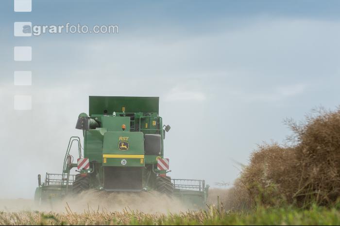 Raps Ernte 290