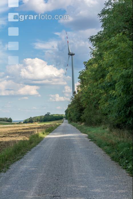 Feldweg 3