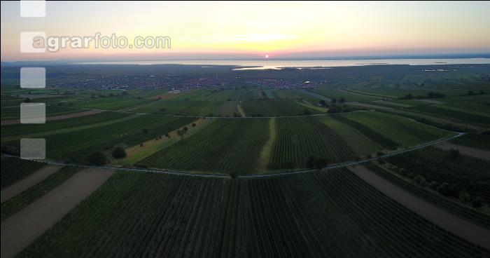 Sonnenaufgang Rust 1