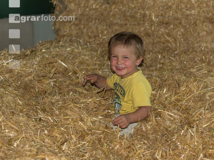 Kinder am Hof 41