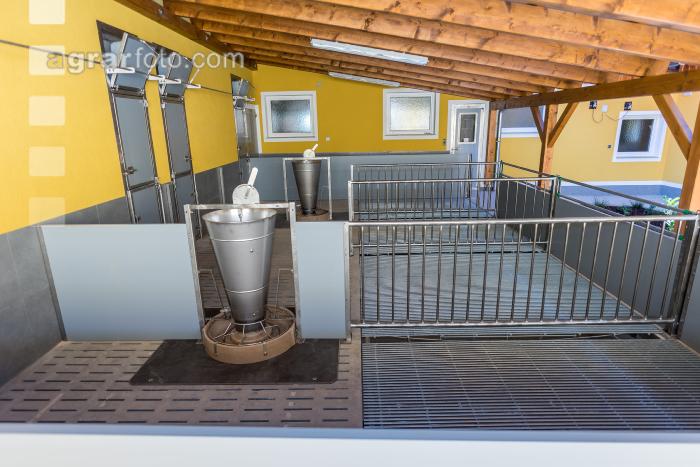 Tierwohlstall in Bau 5
