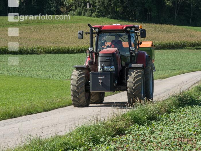 Raps Herbstdüngung 14
