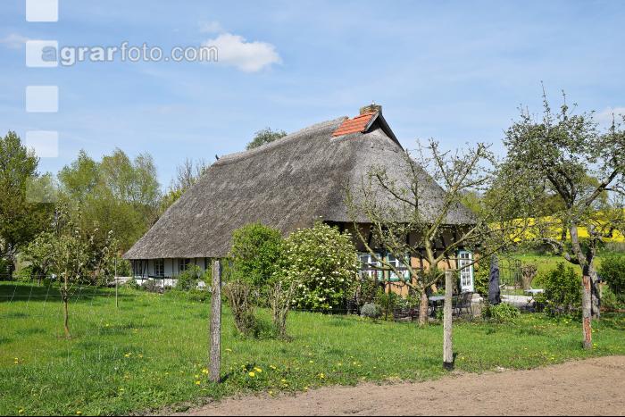 Bauernhaus Mecklenburg 2
