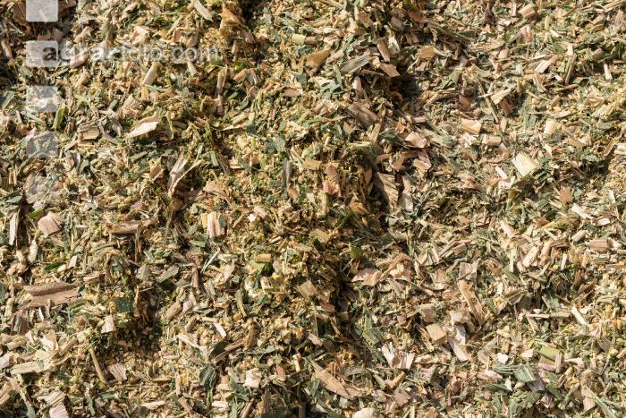 Shredlage Maissilage 5