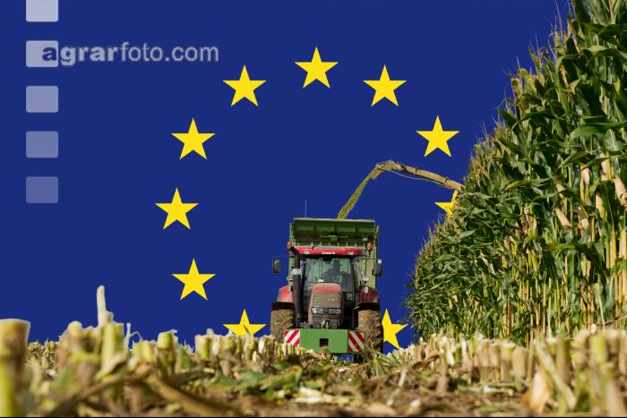 Maisernte mit EU Flagge 2