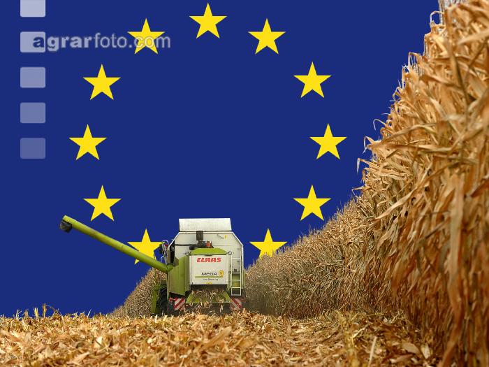 Maisernte mit EU Flagge 1