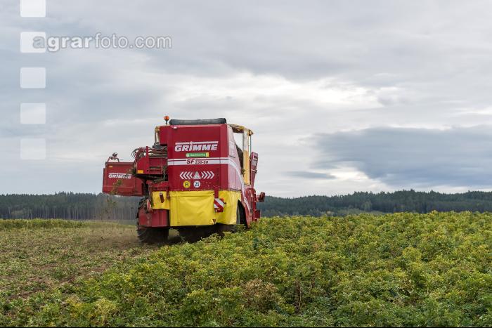 Industriekartoffel Ernte 86