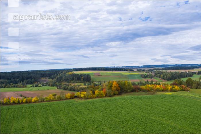 Landschaft im Spätherbst 4