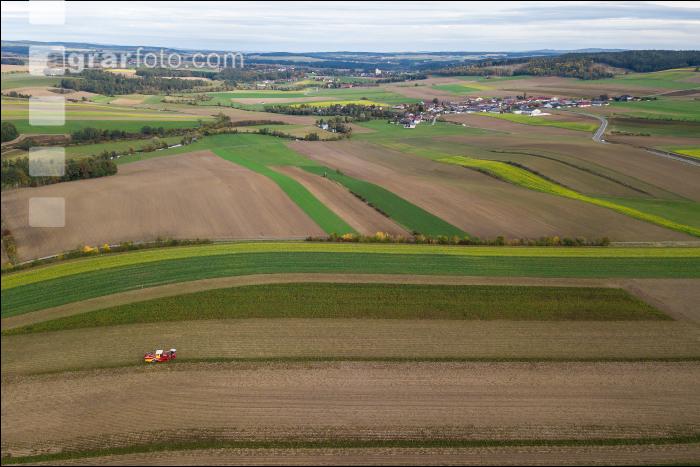 Industriekartoffel Ernte 48