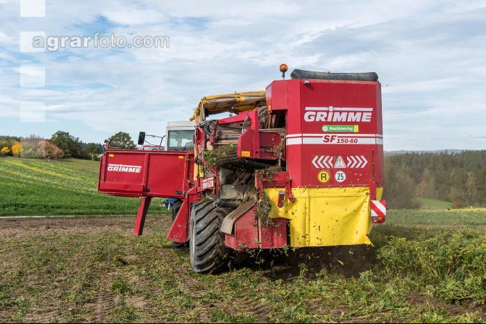 Industriekartoffel Ernte 37