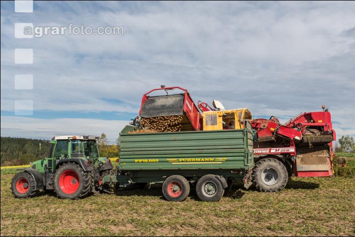 Industriekartoffel Ernte 24