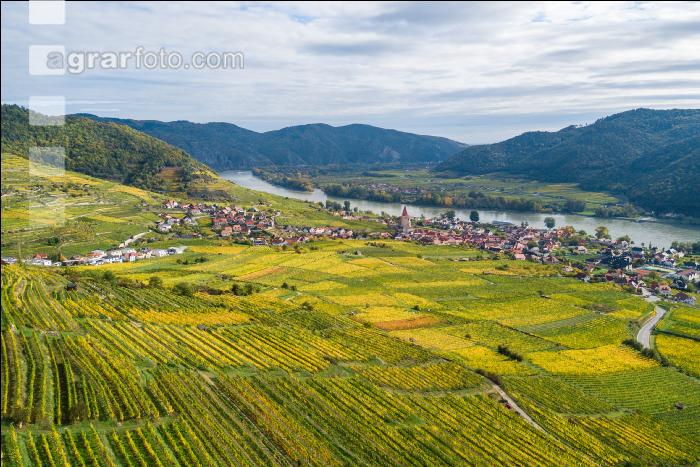 Wachau 38