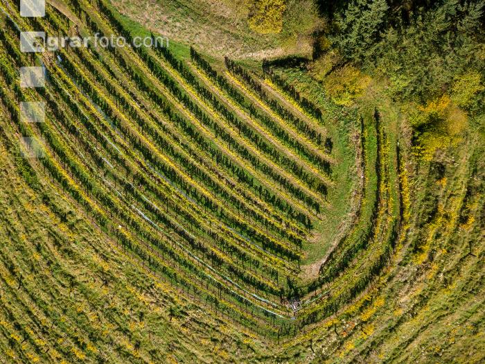 Wachau 21