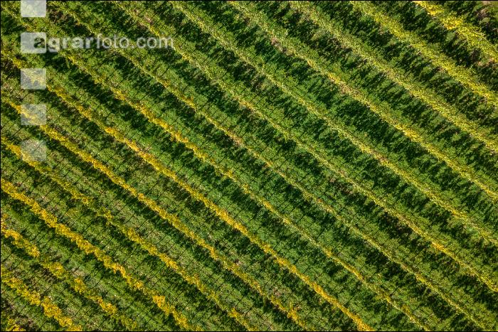 Wachau 18