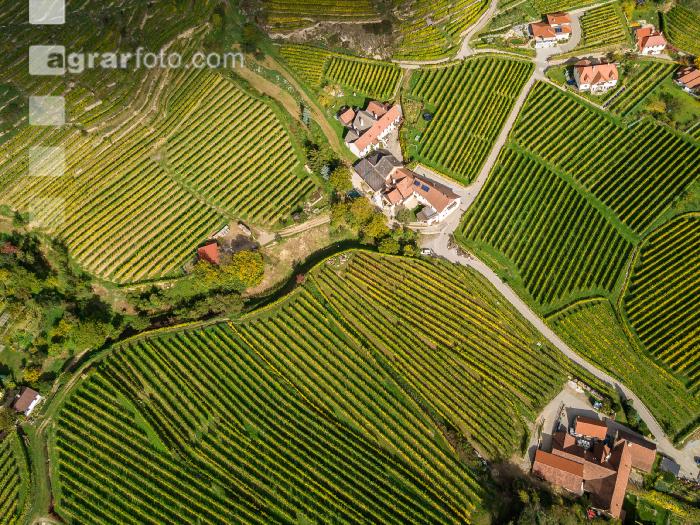 Wachau 17