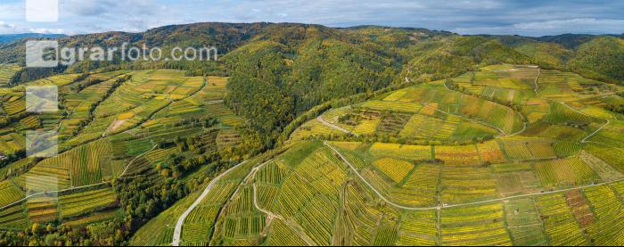 Wachau 15