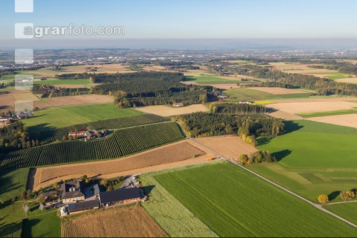 Landschaft im Spätherbst 2