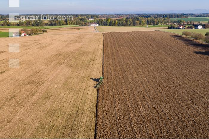 Pflügen Maisacker 19