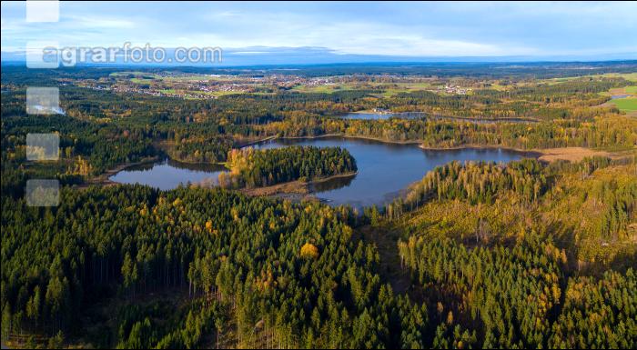 Waldviertler Teich 5