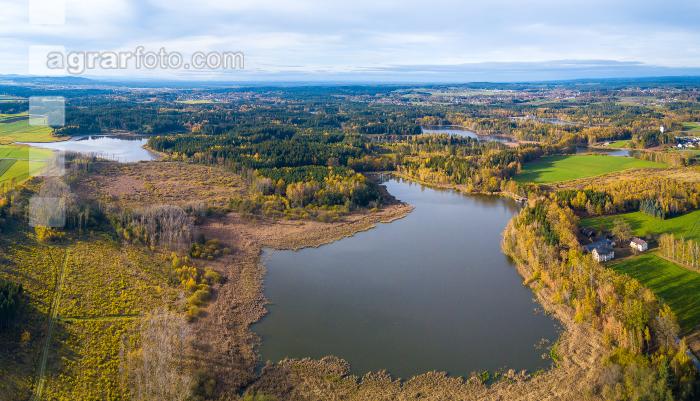 Waldviertler Teich 3