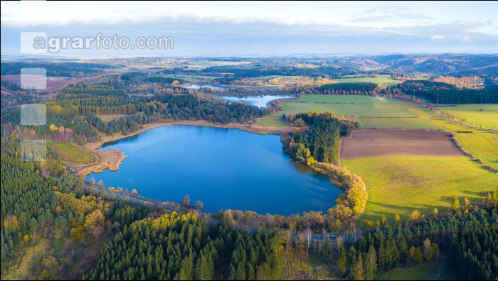 Waldviertler Teich 1