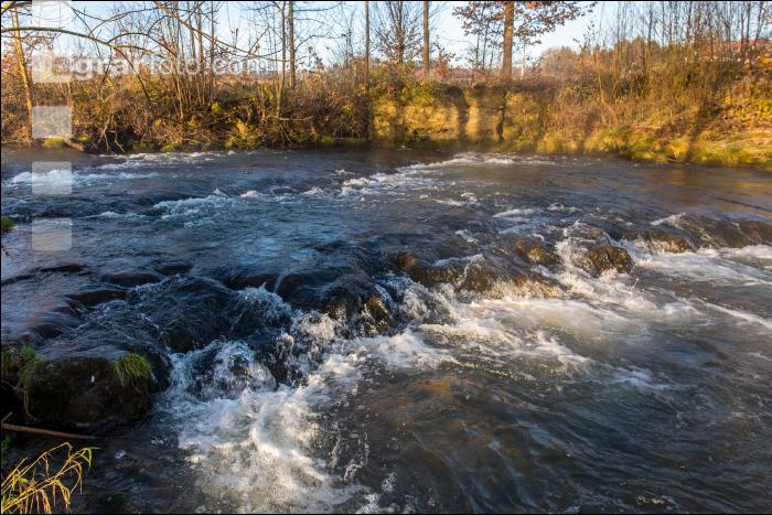 Kremsauen 10