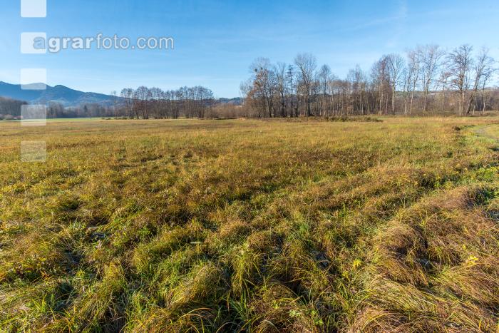 Kremsauen November 1