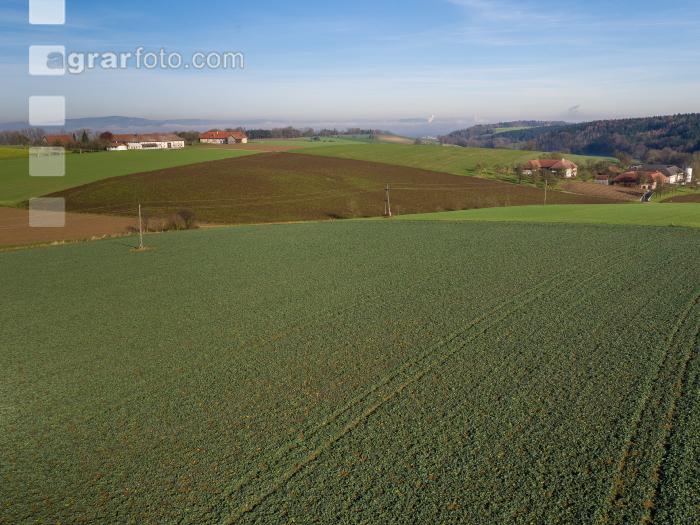 Landschaft im Spätherbst 10