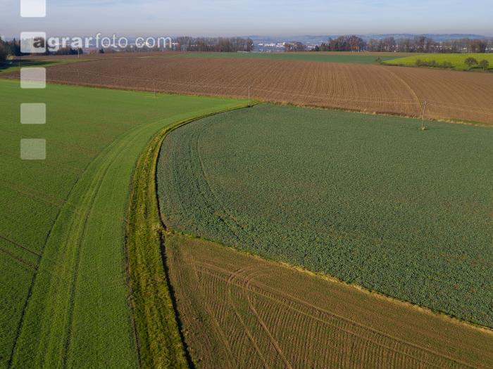 Landschaft im Spätherbst 9