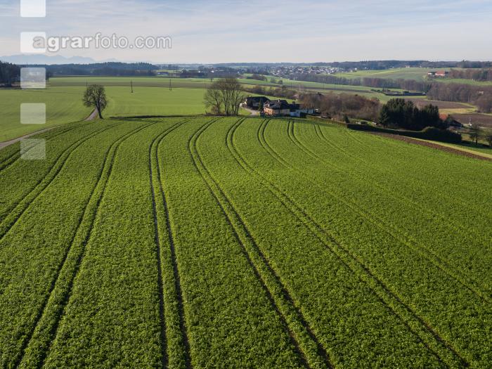 Landschaft im Spätherbst 8
