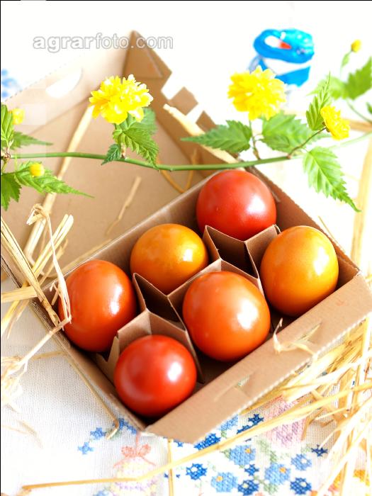 Osternest 4