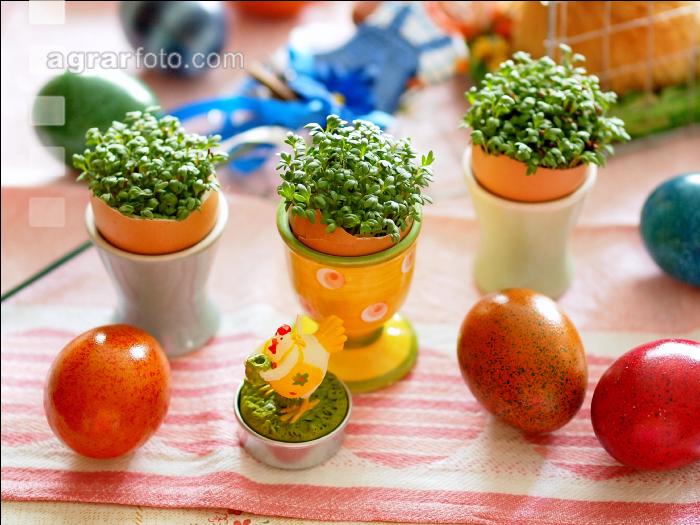Osterschmuck 6