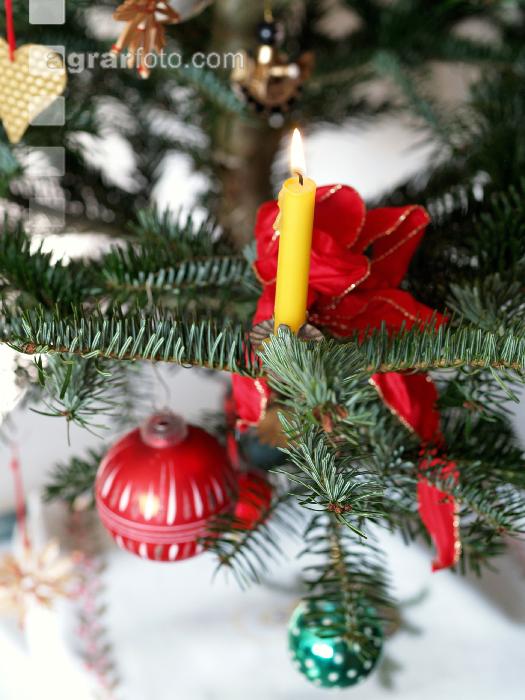 Christbaum 4